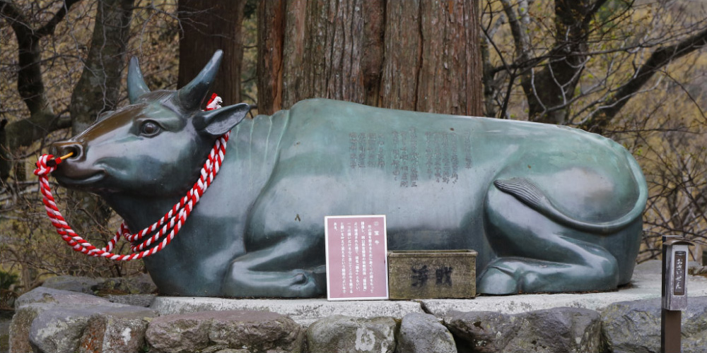 大山牛馬市