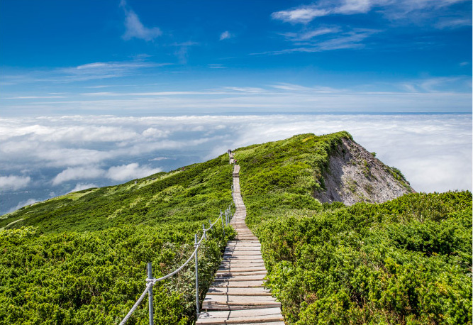 登山