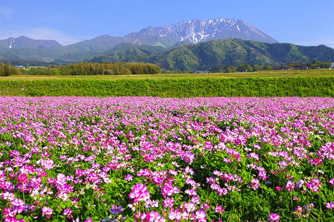 山の日記念全国大会in鳥取　春の大山
