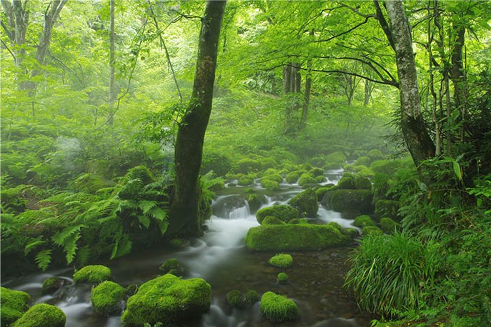 山の日記念全国大会in鳥取　夏の大山