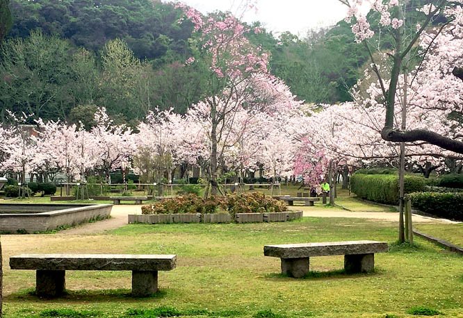 鳥取県のキャンプ場