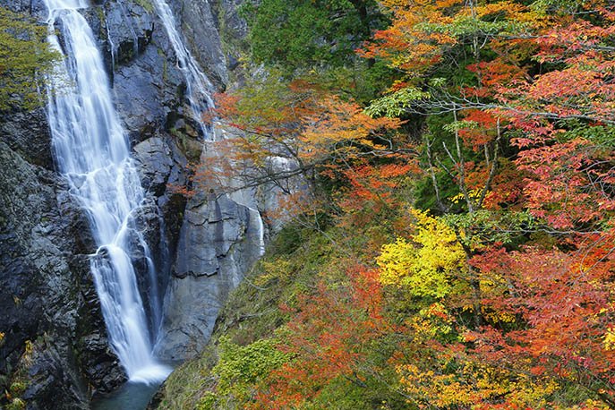 山の日記念全国大会in鳥取　秋の大山