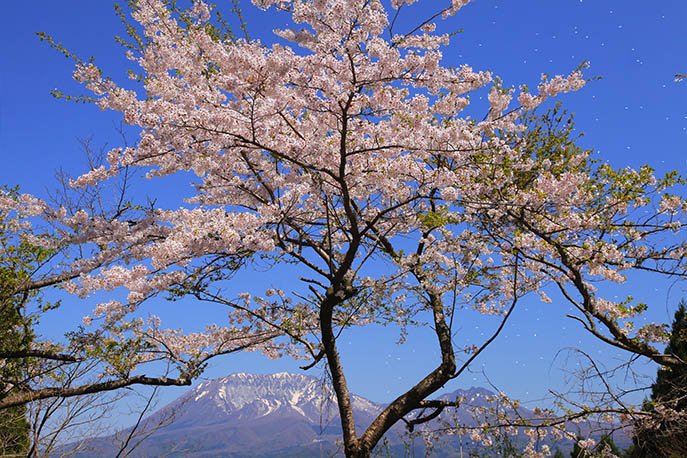 山の日記念全国大会in鳥取　春の大山