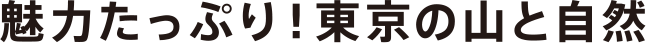 魅力たっぷり!東京の山と自然