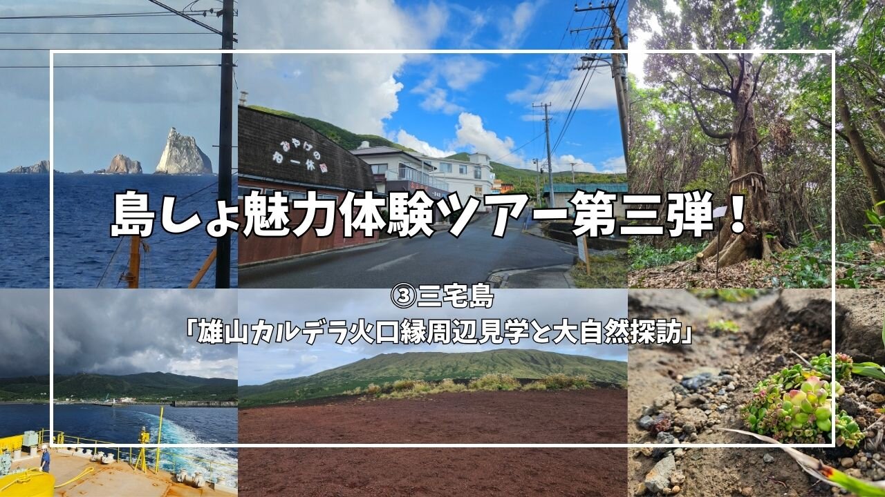 島しょ魅力体験ツアー第三弾！ スタート