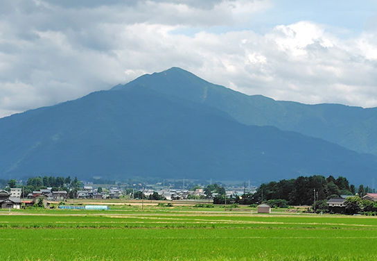 越前おおの山案内所