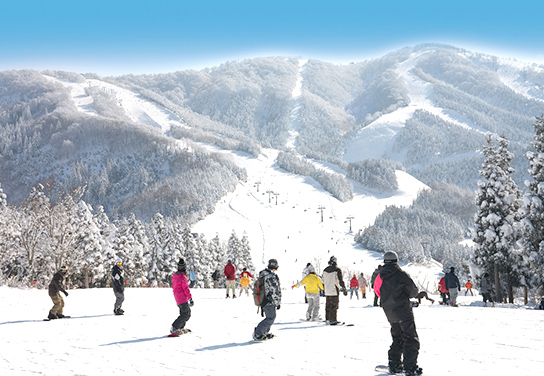 スキージャム勝山