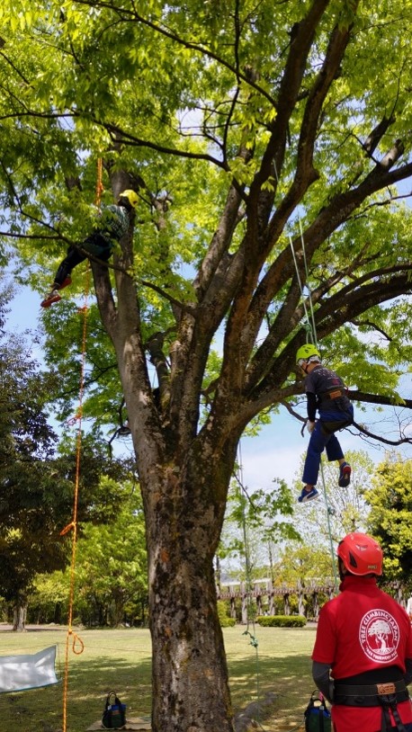 ツリークライミング&reg;